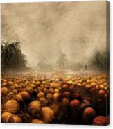 The Mysterious Field Of Pumpkins Canvas Print