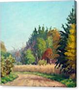 The Old Park Road Canvas Print