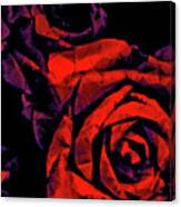 The Passion Of The Rose Canvas Print