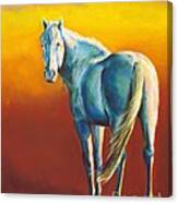 The Pearl Horse Canvas Print