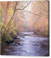 The River In Autumn Canvas Print