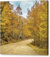 The Road Less Traveled Canvas Print