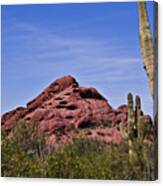 The Saguaro Cacti And Red Rocks Canvas Print