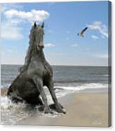 The Sea Horse Canvas Print