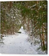 The Snowy Forest Path Canvas Print
