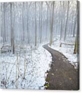 The Snowy Path Canvas Print