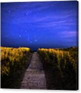 The Starry Path To Good Harbor Beach In Gloucester, Ma Canvas Print