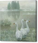 The Three Geese Canvas Print