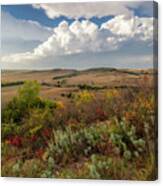 The View From Coronado Heights Canvas Print