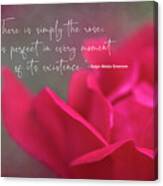 There Is Simply The Rose Canvas Print