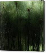 Thicket Canvas Print