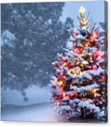 This Tree Glows Brightly On Snow Covered Foggy Christmas Morning Canvas Print
