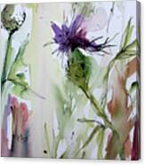 Thistles Modern Floral Art Watercolor And Ink By Ginette Canvas Print
