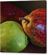 Three Different Pears Canvas Print