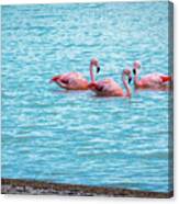 Three Flamingos On The Laguna Amarga Canvas Print
