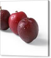 Three Red Plums, White Background Canvas Print