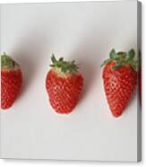 Three Strawberries In A Row, Close-up, White Background Canvas Print