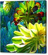 Three Succulents On Blue Canvas Print