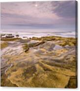 Tide Pools And Mid-autumn Moon, La Jolla Canvas Print