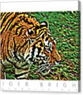 Tiger Bright  Naturally Rare Poster Canvas Print