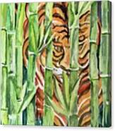Tiger In The Bamboo Canvas Print