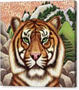 Tiger Mountain Canvas Print