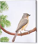 Titmouse Tranquility Canvas Print
