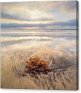 Torrey Pines - Christmas Day Sunset Canvas Print