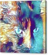 Torti In Teal Canvas Print