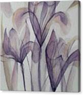 Transparency In Purple Canvas Print
