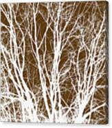 Tree Branches Canvas Print