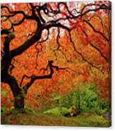 Tree Fire - New And Improved Canvas Print