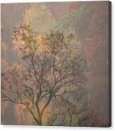 Tree Impressions Tr9893 Canvas Print