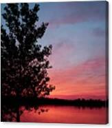 Tree In Sunset Canvas Print