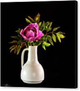 Tree Peony Lan He Paeonia Suffruticosa Rockii In A White Vase On A Black Background Canvas Print