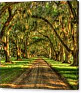 Tree Tunnel Shadows Tomotley Plantation Historic Live Oaks Beaufort South Carolina Landscape Art Canvas Print