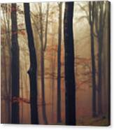 Trees In The Mist Canvas Print