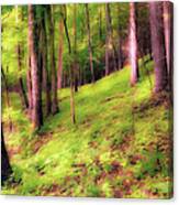 Trees On A Hill Ap Canvas Print