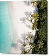 Tropical Island Palm Tree Beach From Above Canvas Print