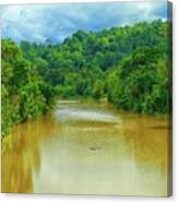 Tropical River Landscape Canvas Print