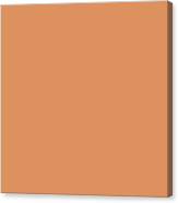 Outgoing Orange SW 6641, Orange Paint Colors
