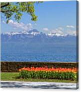 Tulip Festival In Spring By Day, Morges, Switzerland Canvas Print