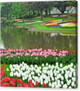 Tulip Flowers At Showa Commemorative National Governmaent Park Canvas Print
