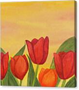 Tulips At Sunset Canvas Print