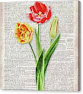 Tulips Dictionary Page Watercolor Art Canvas Print