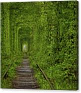 Tunnel Of Love Canvas Print