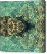 Turquoise Sea Water And Rocks Canvas Print