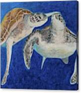Turtle Honeymoon Canvas Print