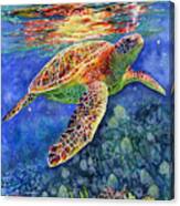 Turtle Reflections Canvas Print