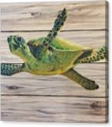 Turtle Time Canvas Print